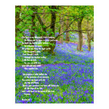 Psalm 91 on bluebells forest, poster