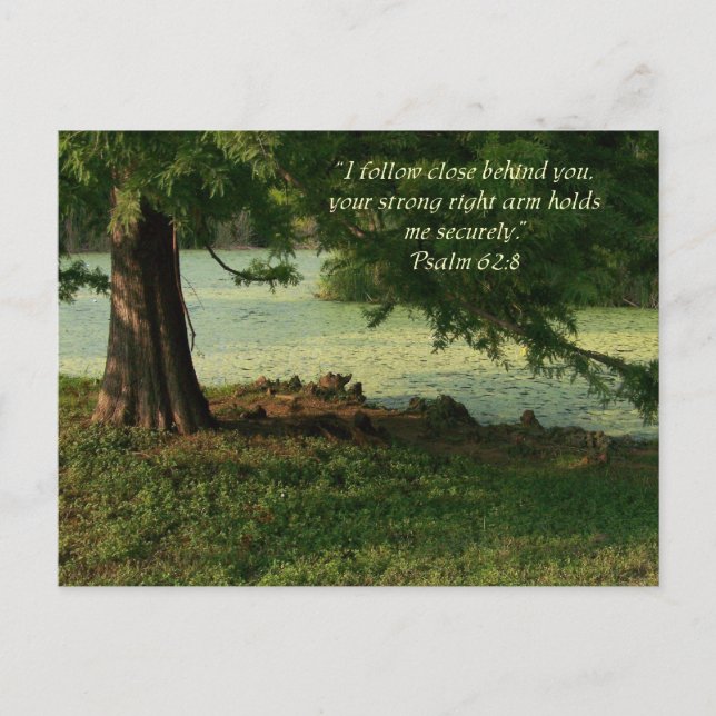 Psalm of Comfort Postcard (Front)