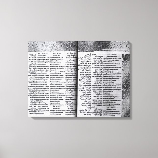 Psalm of David: Psalterim Octaplums, 1516 Canvas Print (Front)