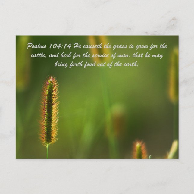 Psalms 104:14 He causeth the grass to grow for the Postcard (Front)