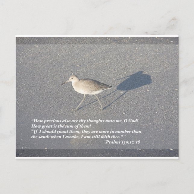 Psalms 139:17-18 postcard (Front)