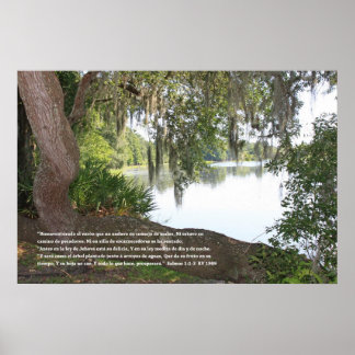 Psalms 1:1-3 (Poster with Rio and Horizontal Tree) Poster