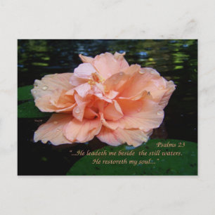 Psalms 23 Postcard