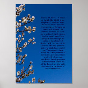 Psalms 23 poster