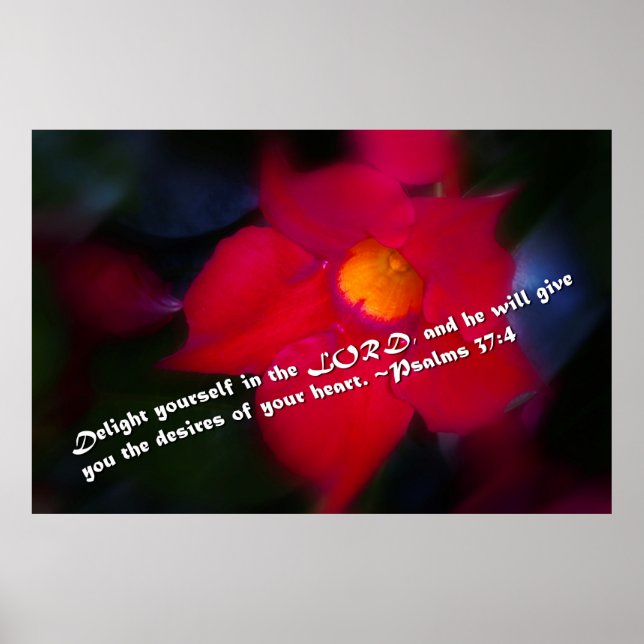 Psalms 37:4 poster (Front)