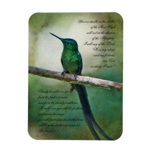 Psalms 911-4 Inspirational  Magnet