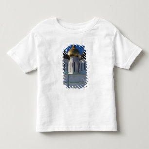 Pskov Kremlin and Trinity Cathedral Toddler T-Shirt