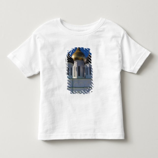 Pskov Kremlin and Trinity Cathedral Toddler T-Shirt (Front)