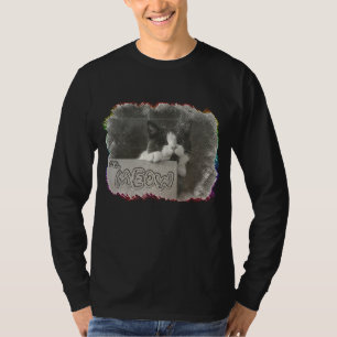 Psps Cute Cat Lover Mr Meow Funny Tee Kitten And K