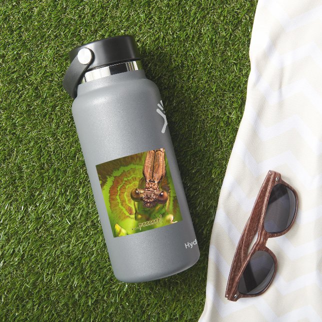 Psssst! Happy Damselfly Photo Sticker (HydroFlask Insitu)