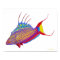 Psychedelic Bell's Flasher Wrasse Fish Poster