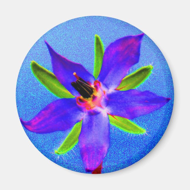 Psychedelic Borage Magnet (Front)