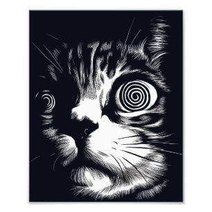 Psychedelic Cat Kitten Photo Print