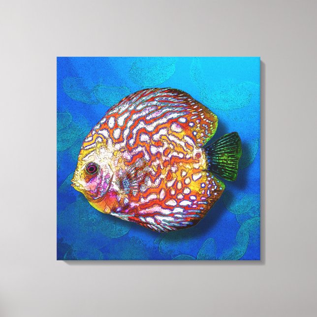 Psychedelic Colourful Exotic Discus Fish Drawing Canvas Print (Front)