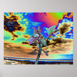 psychedelic flower poster