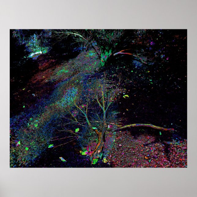 Psychedelic Forest... Poster (Front)