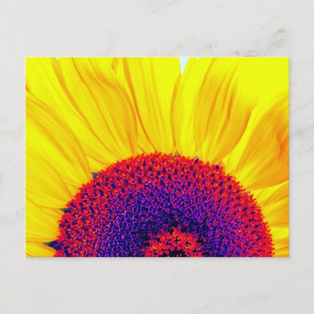 psychedelic sunflower postcard (Front)