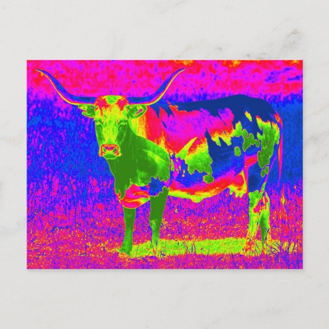 Psychedelic Texas Longhorn Cow Postcard (Front)