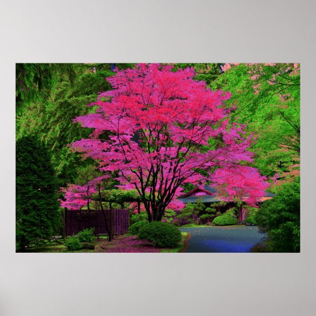 Psychedelic Tree Poster (Front)