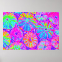 Psychedelic Urchins