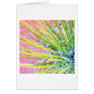 Psychedelic Yucca