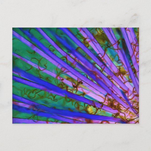 Psychedelic Yucca Inverted Postcard (Front)