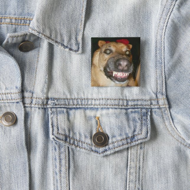 Psycho German Shepherd Dog Scary Evil 15 Cm Square Badge (In Situ)