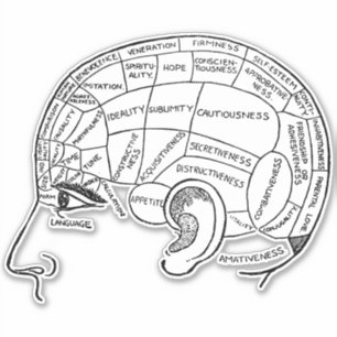 Psychology vintage phrenology psychiatry brain