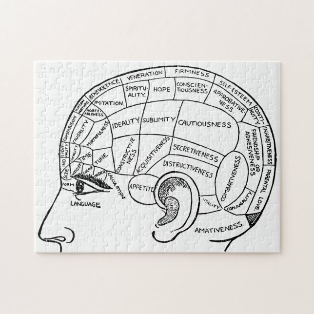 Psychology vintage phrenology psychiatry brain  jigsaw puzzle (Horizontal)