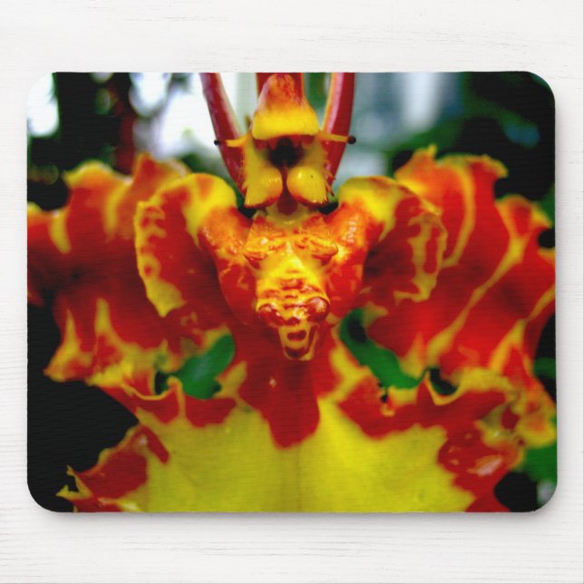 Psychopsis Orchid Mousepad (Front)