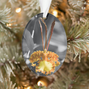 Psychopsis Papilio Orchid Flower Ornament