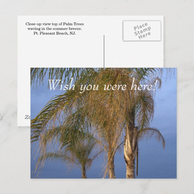 Pt. Pleasant NJ Wish you were here! Palm Trees Postcard (Front/Back)