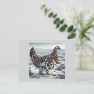 Ptarmigan Chicken  Holiday Postcard