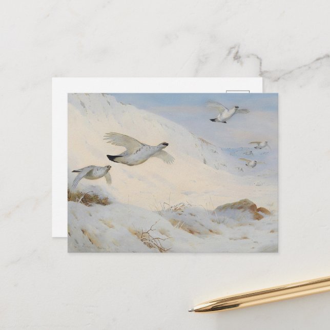 Ptarmigan in winter plumage,flying across the snow postcard (Front/Back In Situ)