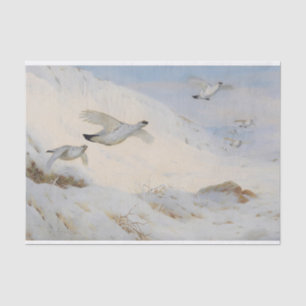 Ptarmigan in winter plumage,flying across the snow tissue paper