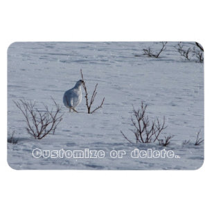 Ptarmigan Snacking; Customisable Magnet
