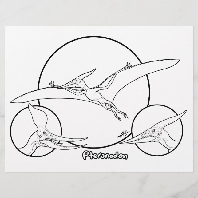 Pteranodon - Colouring Page. (Front)