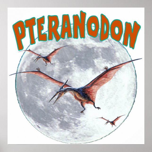 Pteranodon dinosaur poster (Front)