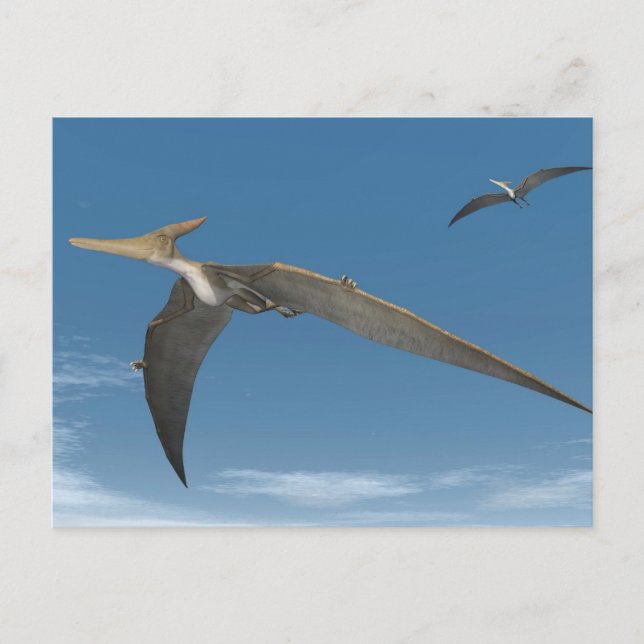 Pteranodon dinosaurs flying - 3D render Postcard (Front)