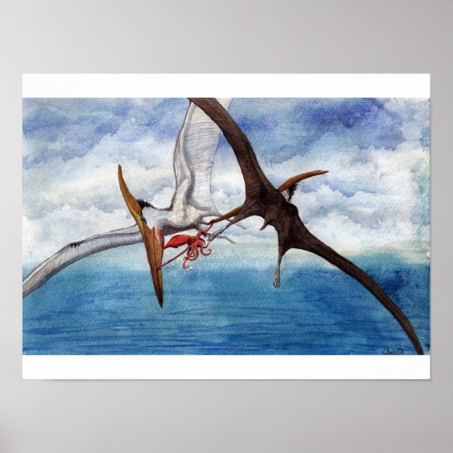Pteranodon Print (Front)