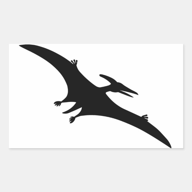 Pterodactyl Dinosaur Rectangular Sticker (Front)