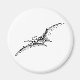 Pterodactyl Magnet