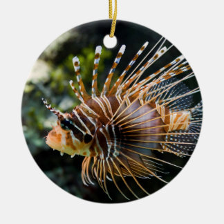 Pterois Antennata Broadbarred Firefish Lionfish Ceramic Tree Decoration
