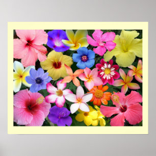 PTropical Flowers Poster