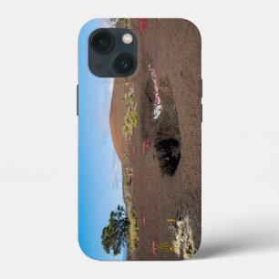 pu’u pua’i cinder cone along byron ledge trail iPhone 13 mini case