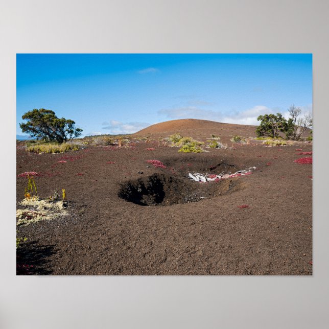 pu’u pua’i cinder cone along byron ledge trail  poster (Front)
