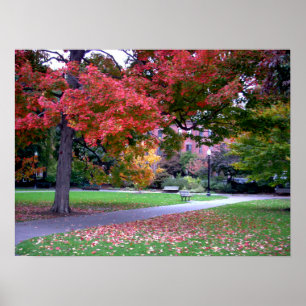 Public Garden Fall Poster