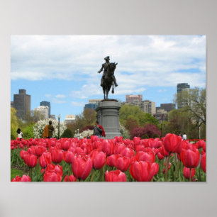 Public Garden Spring Poster