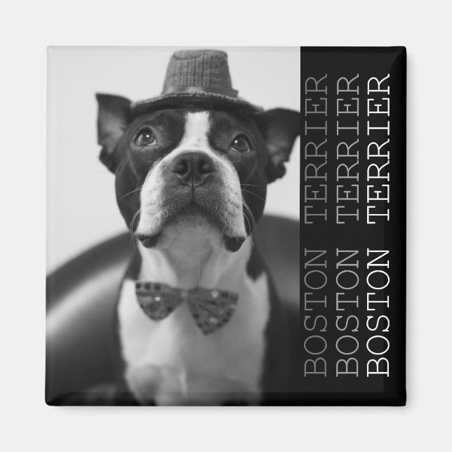 Pucca Magnets B (Front)