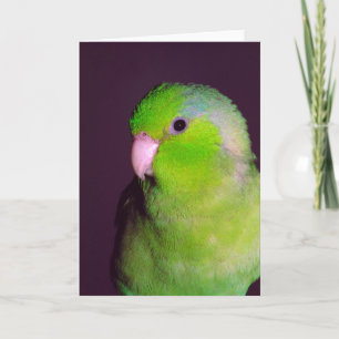 Puck Note Card